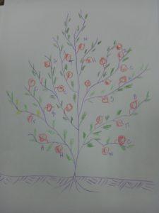Викторина "Родственное дерево" в пансионате "Ялта"